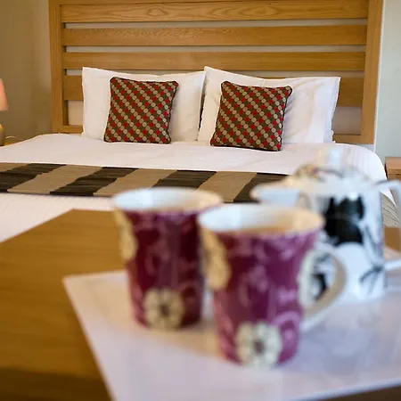 Hotel The Old Success 4*